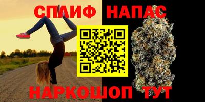 ECSTASY Гай
