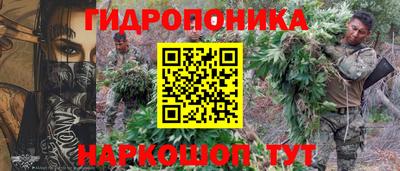 ECSTASY Гай
