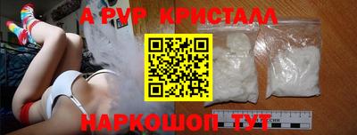 ECSTASY Гай