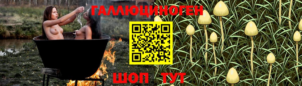 Дивногорск  Псилоцибиновые грибы Cubensis  Вход с VPN 